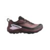 Salomon Genesis Gtx W Rose Taupe - Black - Orchid Bouquet L47588900 Friluftsbua 1